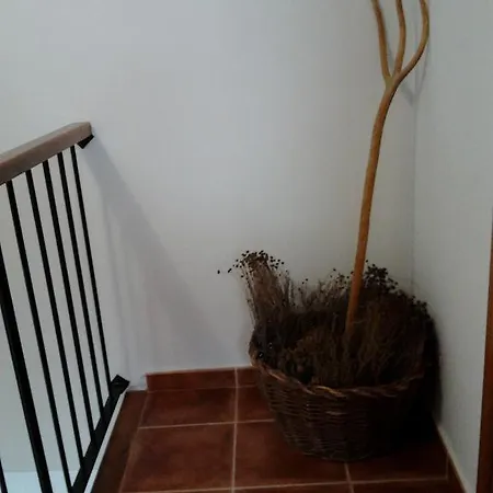 Apartment La Ontina